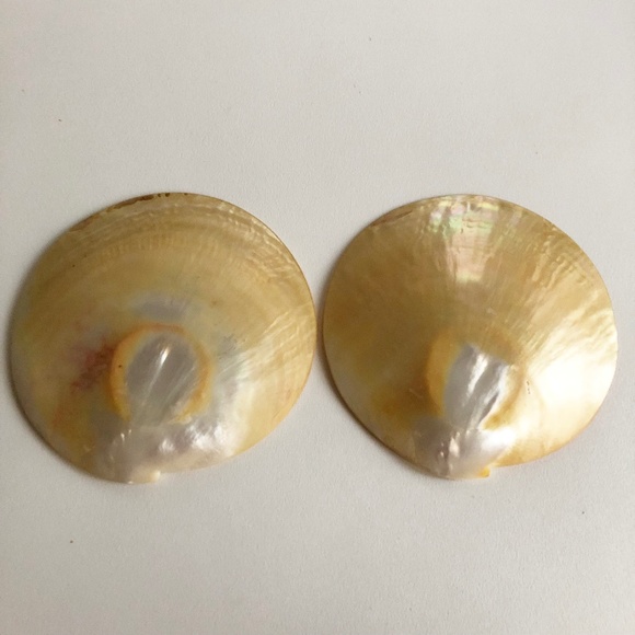 2 Natural Abalone Mother of Pearl Plates Palette M - Picture 1 of 8